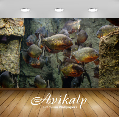 

Avikalp Nature Wallpaper(60.96 cm X 91.44 cm)