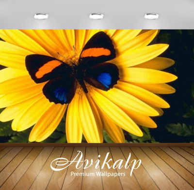 

Avikalp Nature Wallpaper(60.96 cm X 91.44 cm)
