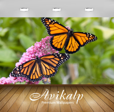 Avikalp Nature Wallpaper(60.96 cm X 91.44 cm)