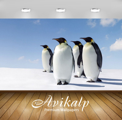 

Avikalp Nature Wallpaper(60.96 cm X 91.44 cm)