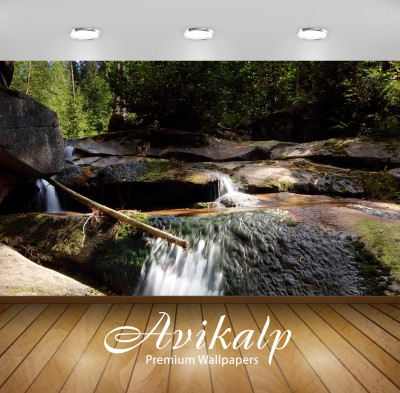 

Avikalp Nature Wallpaper(60.96 cm X 91.44 cm)