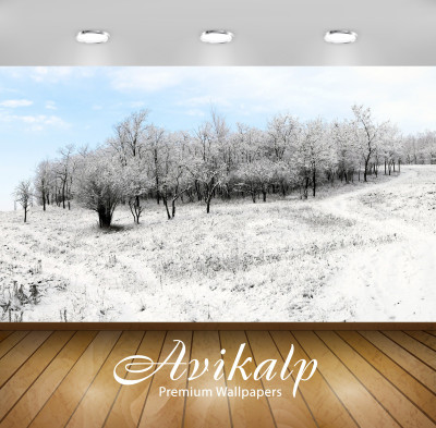 

Avikalp Nature Wallpaper(60.96 cm X 91.44 cm)
