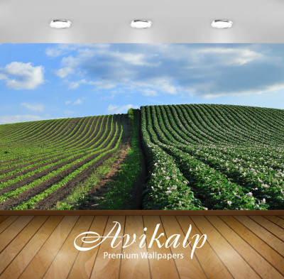 

Avikalp Nature Wallpaper(60.96 cm X 91.44 cm)