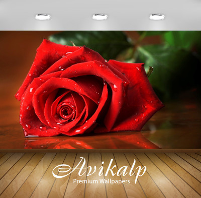 

Avikalp Nature Wallpaper(60.96 cm X 91.44 cm)