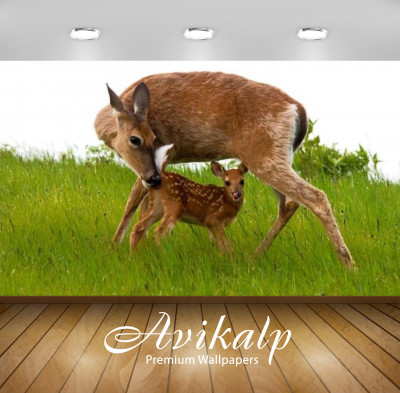 

Avikalp Nature Wallpaper(60.96 cm X 91.44 cm)