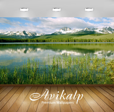

Avikalp Nature Wallpaper(60.96 cm X 91.44 cm)