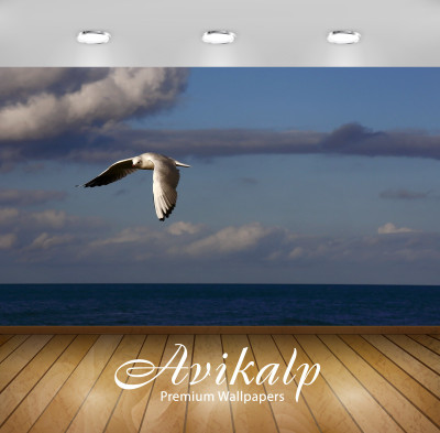 

Avikalp Nature Wallpaper(60.96 cm X 91.44 cm)