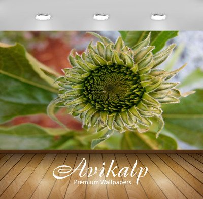 

Avikalp Nature Wallpaper(60.96 cm X 91.44 cm)