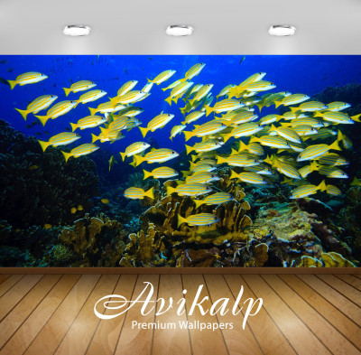 

Avikalp Nature Wallpaper(60.96 cm X 91.44 cm)