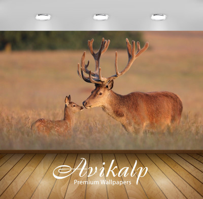 

Avikalp Nature Wallpaper(60.96 cm X 91.44 cm)