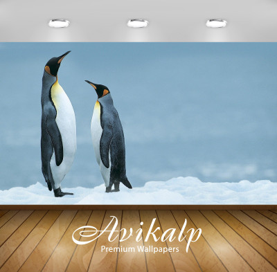 

Avikalp Nature Wallpaper(60.96 cm X 91.44 cm)
