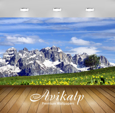 

Avikalp Nature Wallpaper(60.96 cm X 91.44 cm)