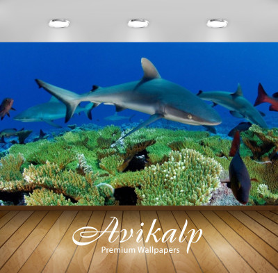 

Avikalp Nature Wallpaper(60.96 cm X 91.44 cm)