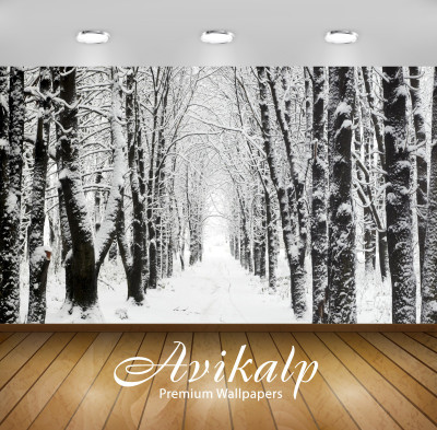 

Avikalp Nature Wallpaper(60.96 cm X 91.44 cm)