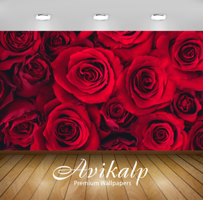 

Avikalp Nature Wallpaper(60.96 cm X 91.44 cm)