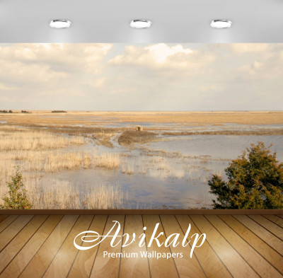 

Avikalp Nature Wallpaper(60.96 cm X 91.44 cm)