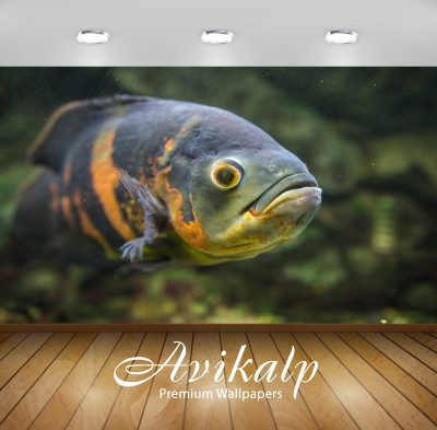 

Avikalp Nature Wallpaper(60.96 cm X 91.44 cm)