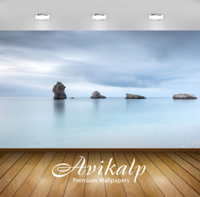 

Avikalp Nature Wallpaper(60.96 cm X 91.44 cm)