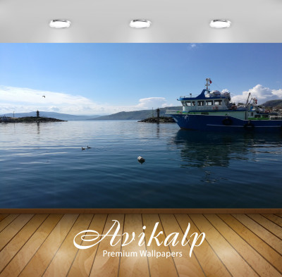 

Avikalp Nature Wallpaper(60.96 cm X 91.44 cm)