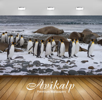

Avikalp Nature Wallpaper(60.96 cm X 91.44 cm)