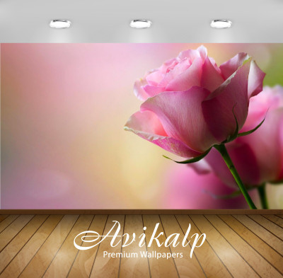 

Avikalp Nature Wallpaper(60.96 cm X 91.44 cm)