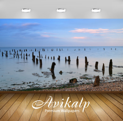 

Avikalp Nature Wallpaper(60.96 cm X 91.44 cm)