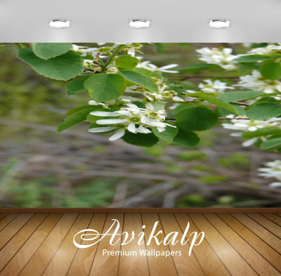 

Avikalp Nature Wallpaper(60.96 cm X 91.44 cm)