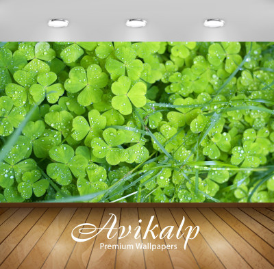 

Avikalp Nature Wallpaper(60.96 cm X 91.44 cm)
