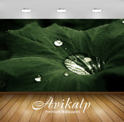 

Avikalp Nature Wallpaper(60.96 cm X 91.44 cm)