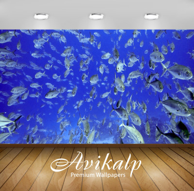 

Avikalp Nature Wallpaper(60.96 cm X 91.44 cm)
