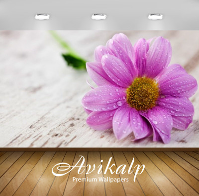 

Avikalp Nature Wallpaper(60.96 cm X 91.44 cm)