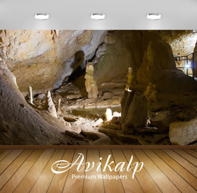 

Avikalp Nature Wallpaper(60.96 cm X 91.44 cm)