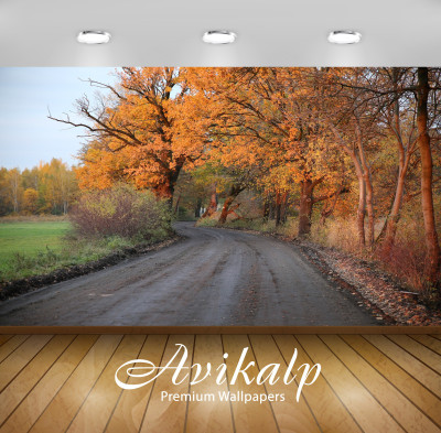 

Avikalp Nature Wallpaper(60.96 cm X 91.44 cm)