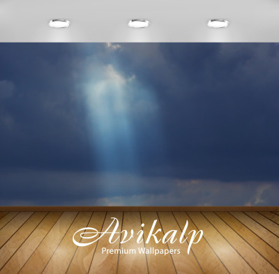 

Avikalp Nature Wallpaper(60.96 cm X 91.44 cm)