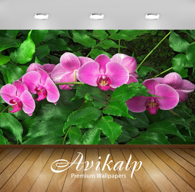 

Avikalp Floral & Botanical Wallpaper(60.96 cm X 91.44 cm)