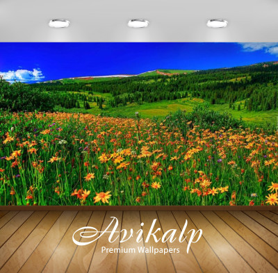 

Avikalp Nature Wallpaper(60.96 cm X 91.44 cm)