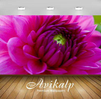 

Avikalp Floral & Botanical Wallpaper(60.96 cm X 91.44 cm)