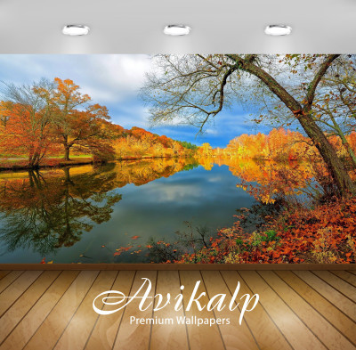 

Avikalp Nature Wallpaper(60.96 cm X 91.44 cm)