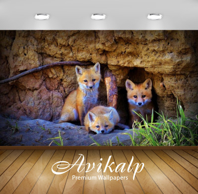

Avikalp Animals Wallpaper(60.96 cm X 91.44 cm)