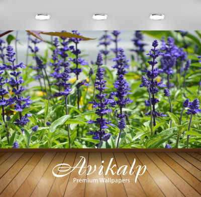 

Avikalp Nature Wallpaper(60.96 cm X 91.44 cm)
