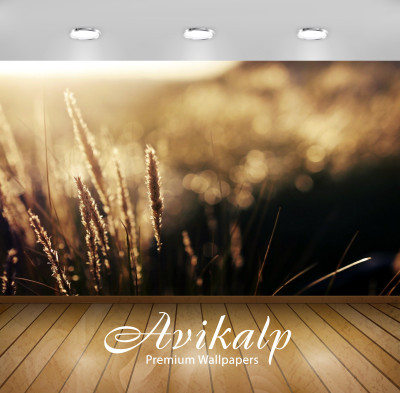 

Avikalp Nature Wallpaper(60.96 cm X 91.44 cm)