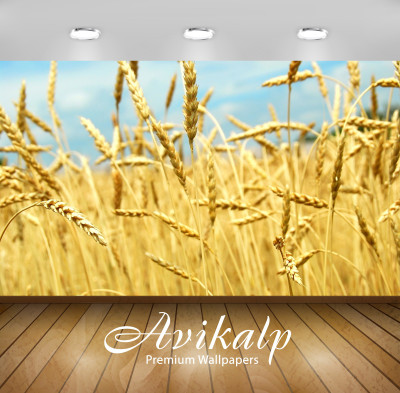 

Avikalp Nature Wallpaper(60.96 cm X 91.44 cm)