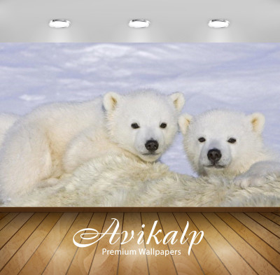 

Avikalp Nature Wallpaper(60.96 cm X 91.44 cm)