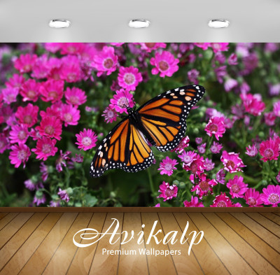 

Avikalp Nature Wallpaper(60.96 cm X 91.44 cm)
