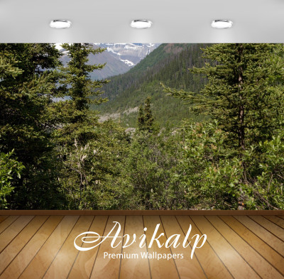 

Avikalp Nature Wallpaper(60.96 cm X 91.44 cm)