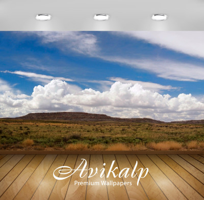 

Avikalp Nature Wallpaper(60.96 cm X 91.44 cm)