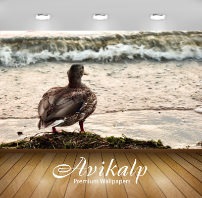 

Avikalp Nature Wallpaper(60.96 cm X 91.44 cm)