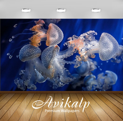

Avikalp Nature Wallpaper(60.96 cm X 91.44 cm)