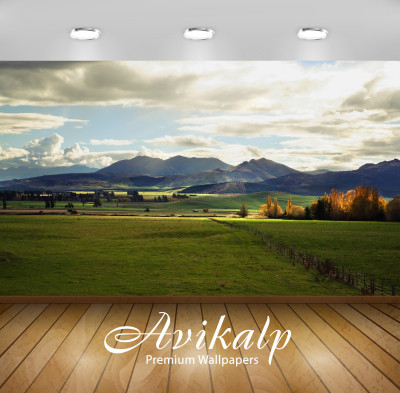 

Avikalp Nature Wallpaper(60.96 cm X 91.44 cm)