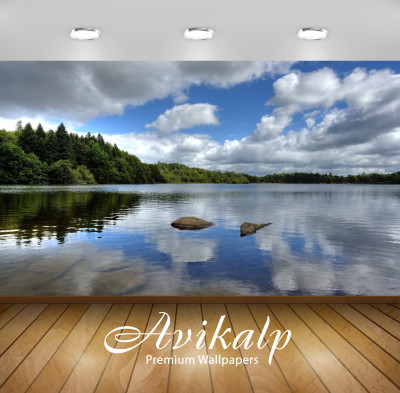 

Avikalp Nature Wallpaper(60.96 cm X 91.44 cm)